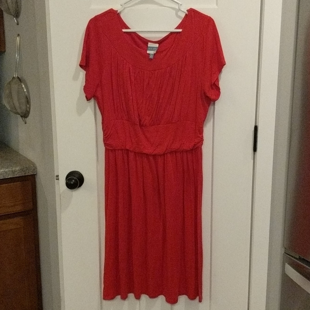 Red Short Sleeve Knit Knee Length Dress